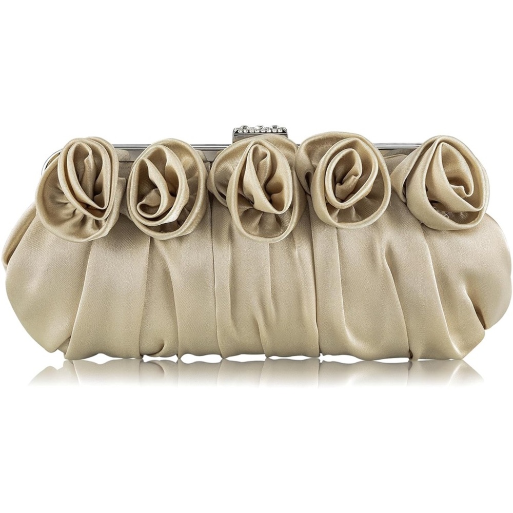 NWT - Satin Clutch